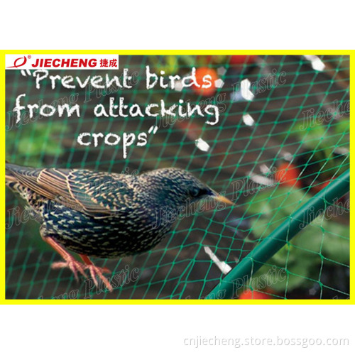 Plastic Anti Bird Mesh Machine